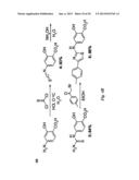 INHIBITORS OF CALCIUM-ACTIVATED CHLORIDE CHANNELS diagram and image