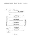 INHIBITORS OF CALCIUM-ACTIVATED CHLORIDE CHANNELS diagram and image