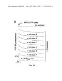 INHIBITORS OF CALCIUM-ACTIVATED CHLORIDE CHANNELS diagram and image