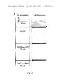 INHIBITORS OF CALCIUM-ACTIVATED CHLORIDE CHANNELS diagram and image