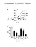 INHIBITORS OF CALCIUM-ACTIVATED CHLORIDE CHANNELS diagram and image