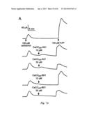 INHIBITORS OF CALCIUM-ACTIVATED CHLORIDE CHANNELS diagram and image