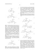 INHIBITORS OF CALCIUM-ACTIVATED CHLORIDE CHANNELS diagram and image