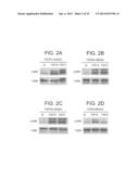 CHIMERIC POLYPEPTIDES AND USES THEREOF diagram and image