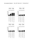 CHIMERIC POLYPEPTIDES AND USES THEREOF diagram and image