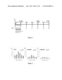 GGF2 AND METHODS OF USE diagram and image