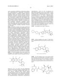 Acid Salt Forms of Polymer-Drug Conjugates and Alkoxylation Methods diagram and image