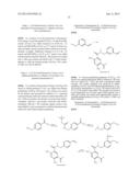 BENZAMIDE DERIVATIVES AND THEIR USE AS HSP90 INHIBTORS diagram and image