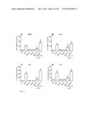 METHODS OF TREATMENT USING STERCULIC ACID diagram and image