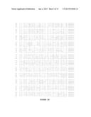 ANTAGONIST ANTI-NOTCH3 ANTIBODIES AND THEIR USE IN THE PREVENTION AND     TREATMENT OF NOTCH3-RELATED DISEASES diagram and image