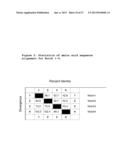 ANTAGONIST ANTI-NOTCH3 ANTIBODIES AND THEIR USE IN THE PREVENTION AND     TREATMENT OF NOTCH3-RELATED DISEASES diagram and image