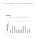 ANTAGONIST ANTI-NOTCH3 ANTIBODIES AND THEIR USE IN THE PREVENTION AND     TREATMENT OF NOTCH3-RELATED DISEASES diagram and image