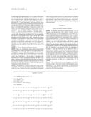 ANTAGONIST ANTI-NOTCH3 ANTIBODIES AND THEIR USE IN THE PREVENTION AND     TREATMENT OF NOTCH3-RELATED DISEASES diagram and image