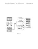 NUCLEOPHILIC SUBSTITUTION OF CARBON NANOTUBES diagram and image