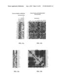 System and Method For Determining Modified States of Health of Living     Tissue diagram and image