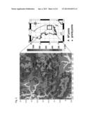 Method of Analyzing 3D Geological Structure Using Structure Index diagram and image