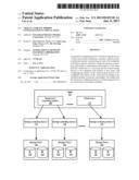 Virtual Storage Mirror Configuration in Virtual Host diagram and image