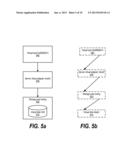 Virtual Storage Mirror Configuration in Virtual Host diagram and image