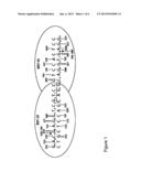 METHODS AND MEANS TO MODIFY A PLANT GENOME AT A NUCLEOTIDE SEQUENCE     COMMONLY USED IN PLANT GENOME ENGINEERING diagram and image