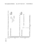 FLAVIN ENZYME HAVING FLAVONOL 8-HYDROXYLASE ACTIVITY AND USE THEREOF diagram and image