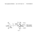 RAPID COMPACT ASSAY FOR PARENT RADIONUCLIDES IN GENERATORS diagram and image