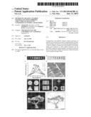 METHOD OF CREATING COLORED MATERIALS BY FIXING ORDERED STRUCTURES OF     MAGNETITE NANOPARTICLES WITHIN A SOLID MEDIA diagram and image