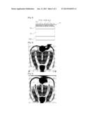 LIGHT EMITTING DIODE diagram and image