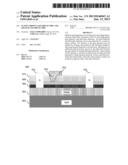 IN SITU GROWN GATE DIELECTRIC AND FIELD PLATE DIELECTRIC diagram and image