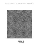 METHOD AND APPARATUS FOR MANUFACTURING A MAGNETORHEOLOGICAL ELASTOMER diagram and image