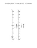 MAGNETIC LEVITATION TYPE VACUUM PUMP AND MAGNETIC LEVITATION DEVICE diagram and image