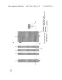 TRANSISTOR CIRCUIT, FLIP-FLOP, SIGNAL PROCESSING CIRCUIT, DRIVER CIRCUIT,     AND DISPLAY DEVICE diagram and image