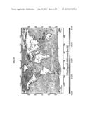 SYSTEM FOR DETECTING SEA-SURFACE WIND, USING SATELLITE OBSERVATION, AND A     METHOD FOR DETECTING SEA-SURFACE WIND diagram and image