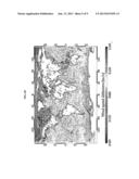 SYSTEM FOR DETECTING SEA-SURFACE WIND, USING SATELLITE OBSERVATION, AND A     METHOD FOR DETECTING SEA-SURFACE WIND diagram and image