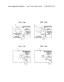 DISPLAY PROCESSING DEVICE diagram and image