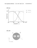 3D IMAGE CAPTURE DEVICE diagram and image