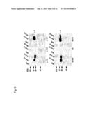 Human Monoclonal Antibodies Against Hendra and Nipah Viruses diagram and image