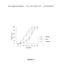 METHODS OF PRODUCING HUMAN RPE CELLS AND PHARMACEUTICAL PREPARATIONS OF     HUMAN RPE CELLS diagram and image