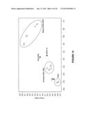 METHODS OF PRODUCING HUMAN RPE CELLS AND PHARMACEUTICAL PREPARATIONS OF     HUMAN RPE CELLS diagram and image