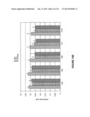 METHODS OF PRODUCING HUMAN RPE CELLS AND PHARMACEUTICAL PREPARATIONS OF     HUMAN RPE CELLS diagram and image