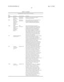 METHODS OF PRODUCING HUMAN RPE CELLS AND PHARMACEUTICAL PREPARATIONS OF     HUMAN RPE CELLS diagram and image