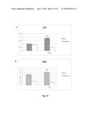 p19Arf, HMGA2 and MDM2 For Use in the Diagnosis and Treatment of Aberrant     Cell Growth diagram and image
