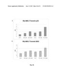 p19Arf, HMGA2 and MDM2 For Use in the Diagnosis and Treatment of Aberrant     Cell Growth diagram and image