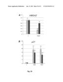 p19Arf, HMGA2 and MDM2 For Use in the Diagnosis and Treatment of Aberrant     Cell Growth diagram and image