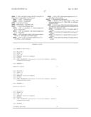 ISOLATED RENAL CELLS AND USES THEREOF diagram and image