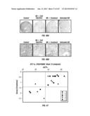 ISOLATED RENAL CELLS AND USES THEREOF diagram and image