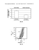 ISOLATED RENAL CELLS AND USES THEREOF diagram and image