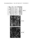 ISOLATED RENAL CELLS AND USES THEREOF diagram and image