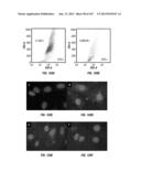 ISOLATED RENAL CELLS AND USES THEREOF diagram and image