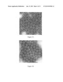 THERMAL INACTIVATION OF ROTAVIRUS diagram and image