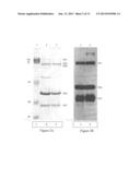 THERMAL INACTIVATION OF ROTAVIRUS diagram and image